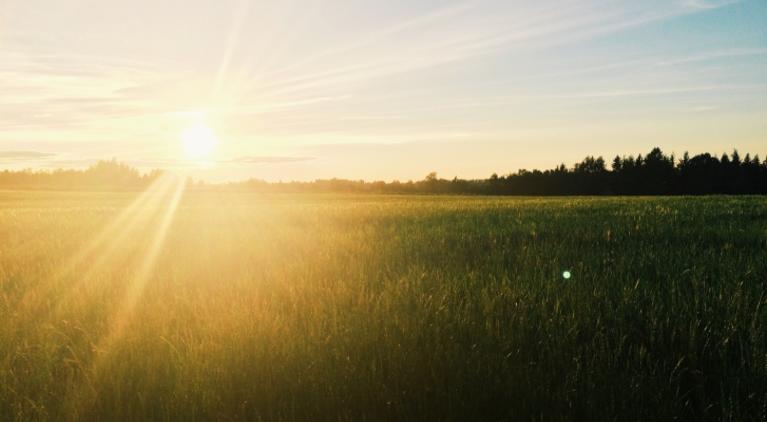 Direct Energy Pay As You Go >> Electricity Providers - Gas Suppliers | EnergyAustralia Direct Energy Pay As You Go >> Electricity Providers - Gas Suppliers | EnergyAustralia