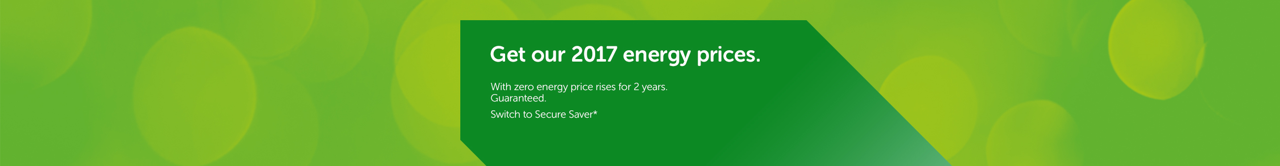Get our 2017 energy prices.