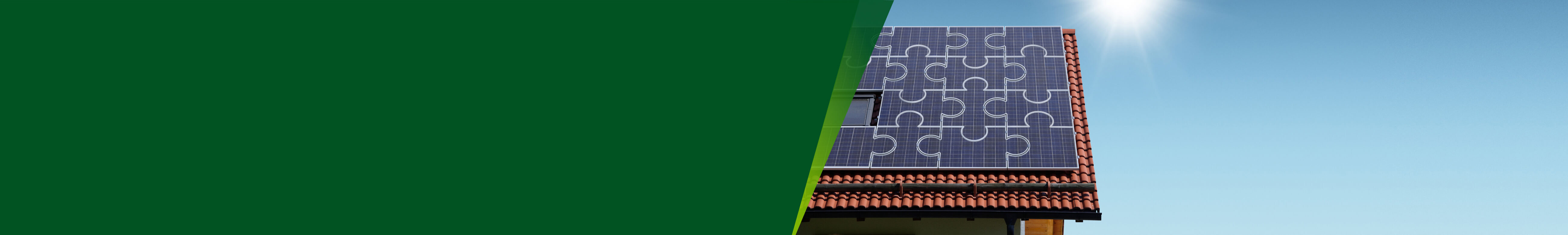 Switch to Solar Max online and enjoy our highest feed-in tariffs.