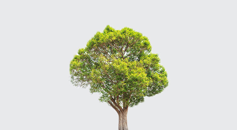 100% carbon neutral electricity in your home, and it won’t cost you an extra cent.