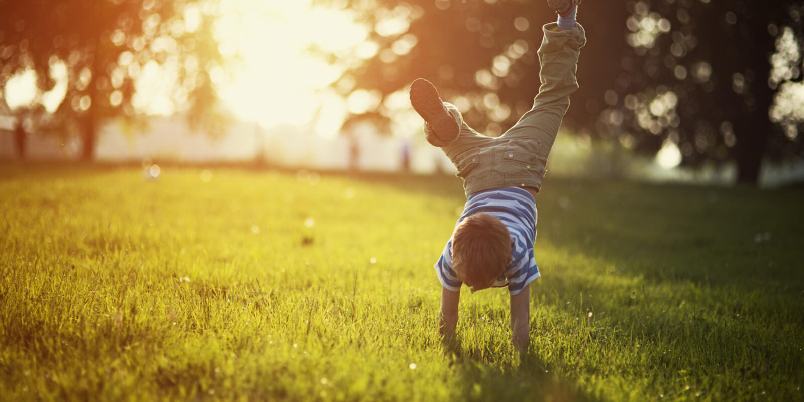 A new time-of-use feed-in tariff for solar power will reap big benefits for EnergyAustralia customers in Victoria.