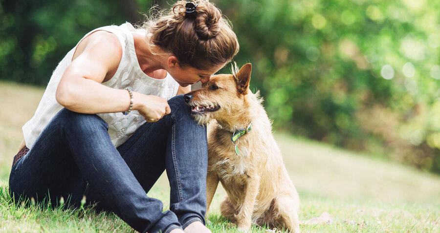 8 of the best gadgets for pet lovers