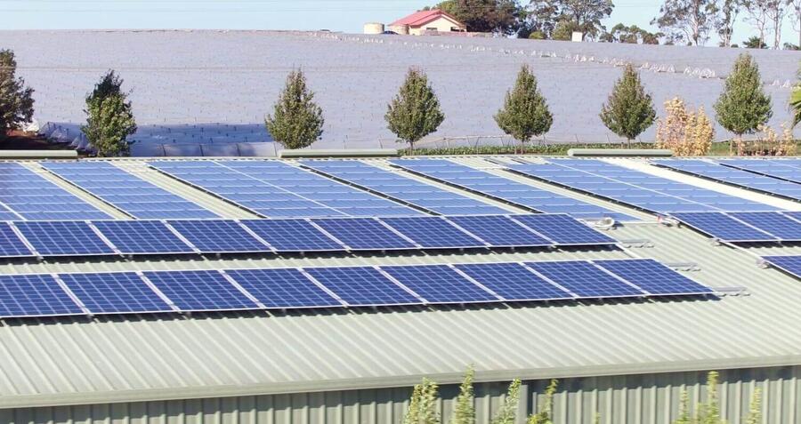 The Burleigh Flowers Farms Commercial Solar Power System 