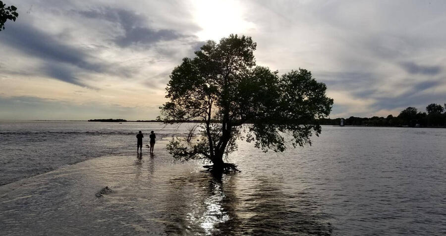 Supporting our customers impacted by floods in New South Wales 