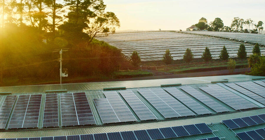 Solar panels are making these Australian businesses more sustainable