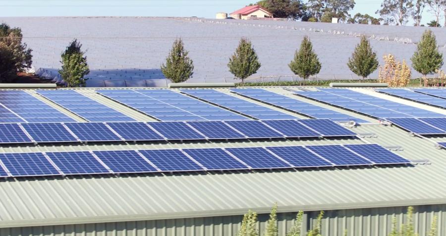 The Burleigh Flowers Farms Commercial Solar Power System 