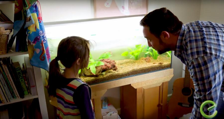 Father and daughter looking at fish tank