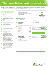 Large Business Electricity Bill