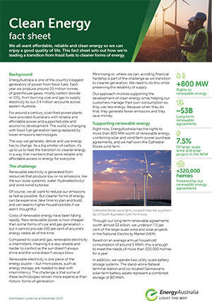 Fact Sheet Thumb - Clean Energy