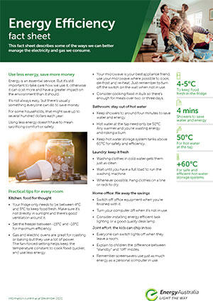 Fact Sheet Thumb - Energy Efficiency