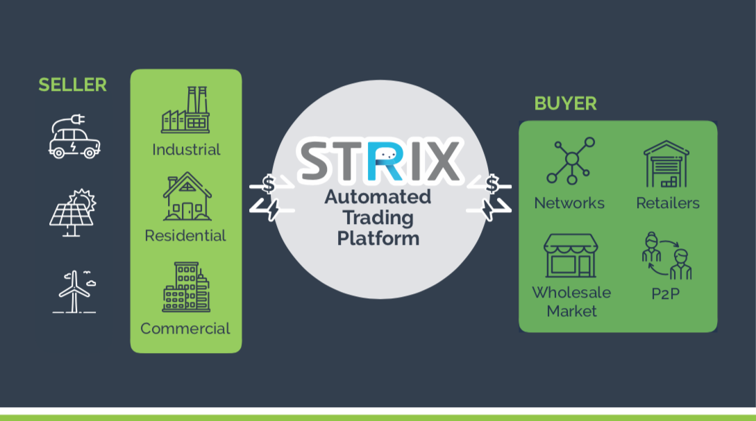 Diagram of how the Strix product works