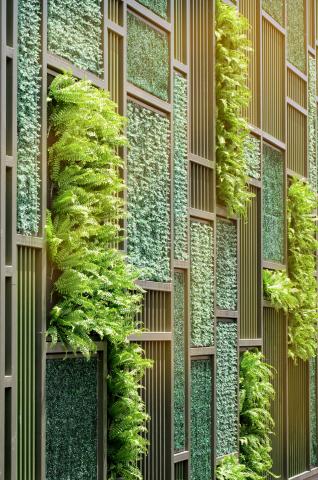 Vertical gardens