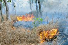 Picaninny Plains. Image credit: Australian Wildlife Conservancy.